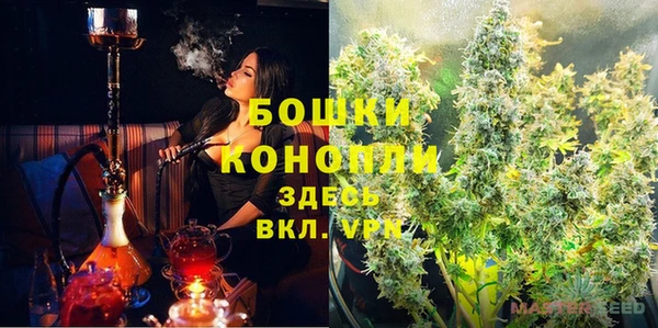 ПСИЛОЦИБИНОВЫЕ ГРИБЫ Снежногорск