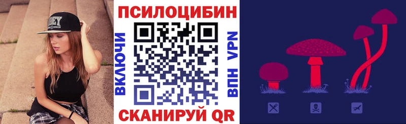 где купить   kraken рабочий сайт  Псилоцибиновые грибы ЛСД  Городец 