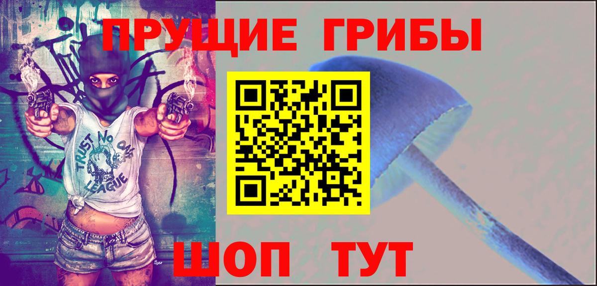 Псилоцибиновые грибы Psilocybe Городец